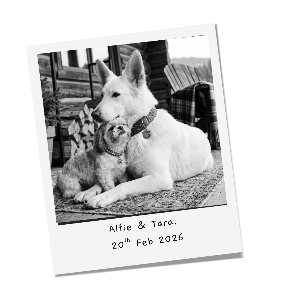 Alfie & Tara